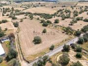 Terreno in vendita di 8716 m² in Via Aretusa, 212