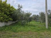 Terreno in vendita di 880 m²