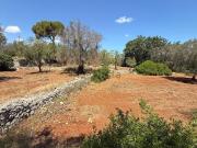 Terreno in vendita di 8902 m² in Contrada Ferro Rosso