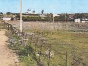 Terreno in vendita di 8982 m² in Strada Statale 385