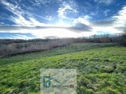 Terreno in vendita di 90000 m²