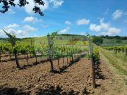 Terreno in vendita di 90000 m²