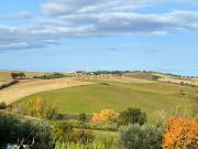 Terreno in vendita di 90000 m² in Via dei Cipressi