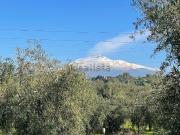Terreno in vendita di 9000 m² in Contrada Agnelleria