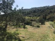 Terreno in vendita di 9000 m² in Contrada Osciro