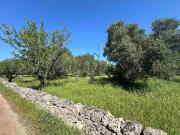 Terreno in vendita di 9000 m² in Contrada Padalino