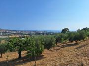 Terreno in vendita di 9000 m² in Contrada San Giovanni