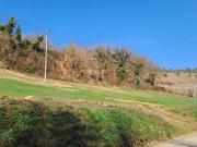 Terreno in vendita di 9000 m² in Strada Molino Maggiotti