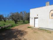 Terreno in vendita di 9000 m² in Via Olivari