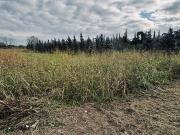 Terreno in vendita di 900 m² in Strada Statale Fiorentina