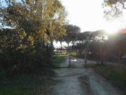 Terreno in vendita di 910 m² in Strada Litoranea, 3960