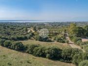 Terreno in vendita di 9135 m² in Via fra Ponti