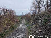 Terreno in vendita di 9196 m² in Strada Provinciale 4/11, 93