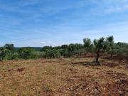 Terreno in vendita di 9300 m² in Contrada paretano