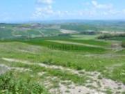 Terreno in vendita di 9460 m² in Via delle Croci