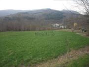 Terreno in vendita di 9468 m² in Via Radici