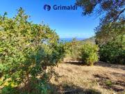 Terreno in vendita di 9470 m² in Contrada Niruzzo