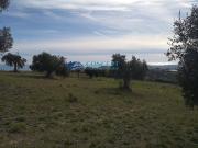 Terreno in vendita di 950 m²