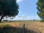 Terreno in vendita di 955 m² in Località San Giorgio