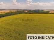 Terreno in vendita di 963 m² in Via Erbosa