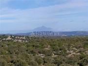 Terreno in vendita di 97212 m²