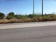 Terreno in vendita di 9793 m² in Contrada Pianetti, 1