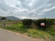 Terreno in vendita di 988 m² in Via Fosso di Lenola