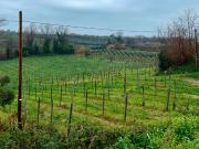 Terreno in vendita di 9950 m² in Contrada San Giovanni