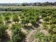 Terreno in vendita di 9951 m² in Contrada Fiumara, 28