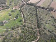Terreno in vendita in annunziata 0, Castiadas