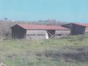 Terreno in vendita in via malvicina 0, Roma