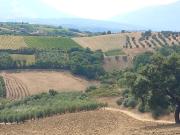 Terreno in vendita in via raganella 0, Alanno