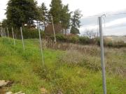 Terreno in vendita in via san sebastiano 130, Falconara...