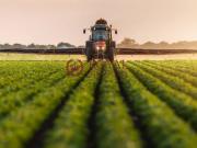 Terreno Agricolo in vendita a Livorno, Periferia est