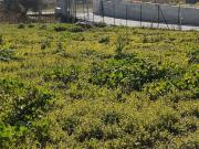 Terreno edificabile in vendita a Rosciano, Piano Fara