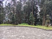 TERRENO INDEPENDIENTE DE 2.777m2 SECTOR PUENTE 3 LA ARMENIA