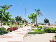 TERRENO INDEPENDIZADO 105M2 EN ALAMEDA LIMA SUR CHILCA TERRENO INDEPENDIZADO 105M2 EN ALAMEDA LIMA SUR CHILCA