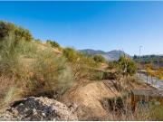 TERRENO INDUSTRIAL!