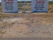 TERRENO AL COSTADO DE LA CARRETERA SULLANA TAMBO GRANDE