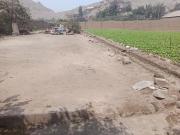 TERRENO INDUSTRIAL ALT. DE ALMACENES TOTTUS HUACHIPA