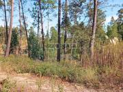 Terreno Industrial Barosa