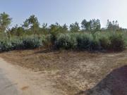 Terreno industrial com 6 hectares em A dos Cunhados