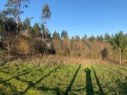 Terreno Industrial com Grande Potencial Guidões, Trofa