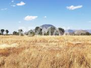 Terreno Industrial en Renta