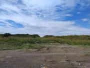 Terreno Industrial en Renta ? 3.8 Hect?reas en Zona...