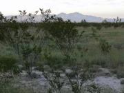Terreno Industrial en Venta