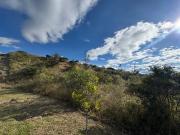 Terreno Industrial en Venta