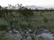 Terreno Industrial en Venta