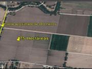 Terreno industrial en venta en Belém