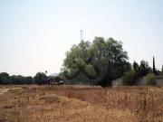 Terreno industrial en venta en Los Reyes Acaquilpan Centro